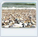 Hotels in Primorsk